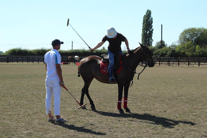 Polo Lesson